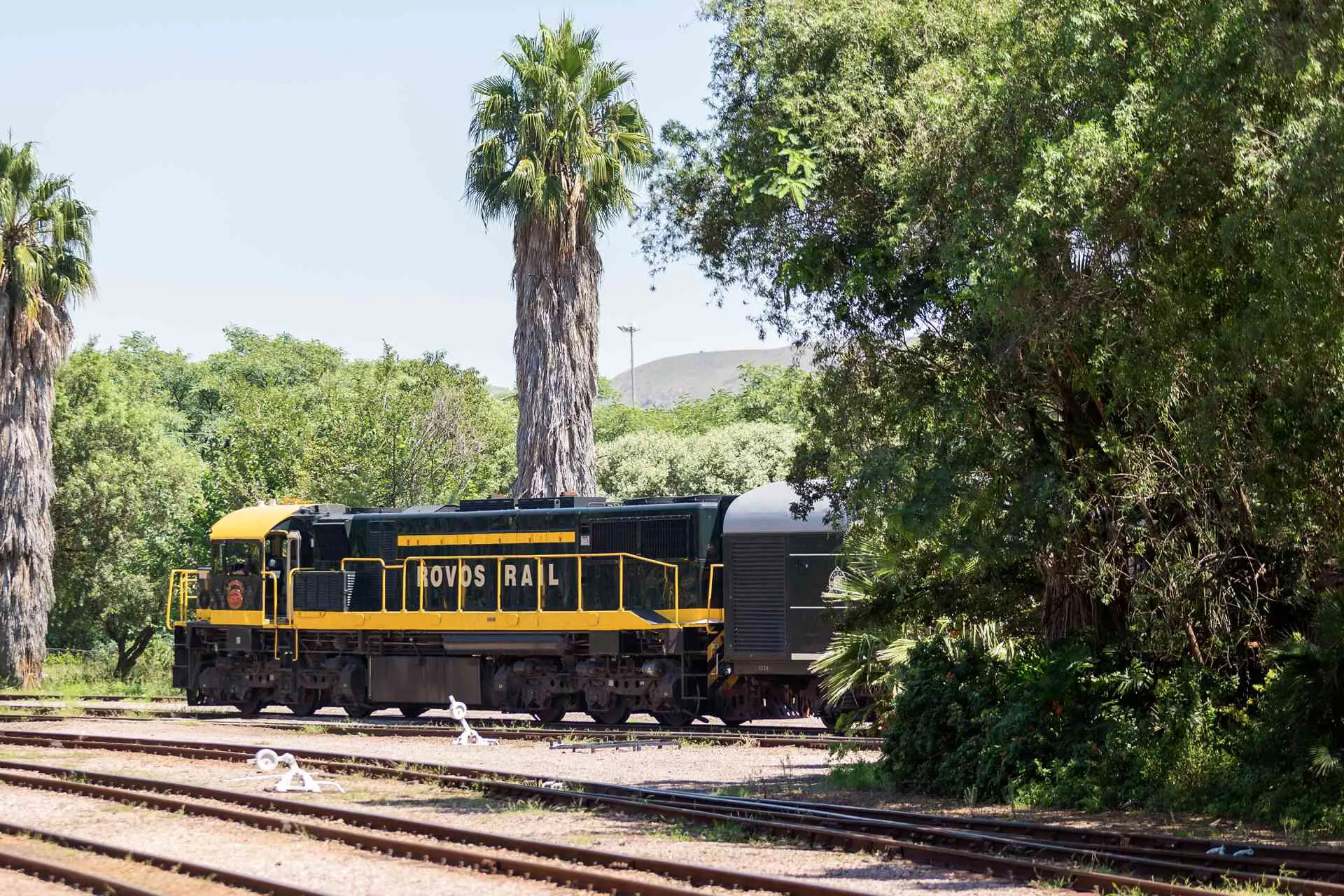 Rovos Rail Tour - 1